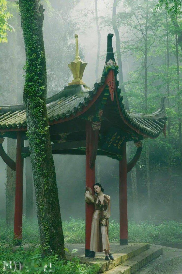 瑞德的冒险之旅中文版